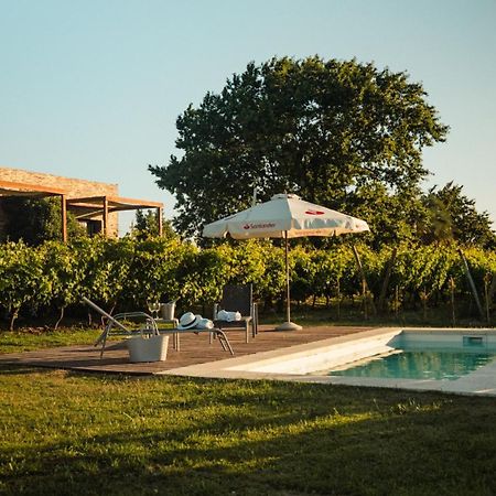 Pizzorno Lodge & Wine Progreso Ngoại thất bức ảnh