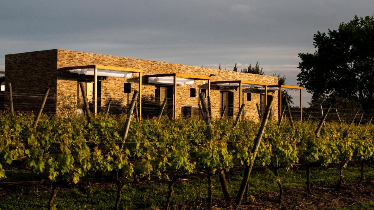 Pizzorno Lodge & Wine Progreso Ngoại thất bức ảnh