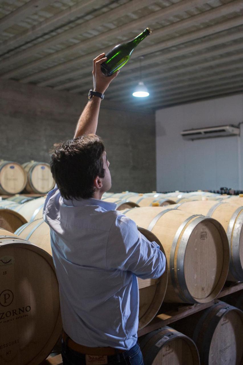 Pizzorno Lodge & Wine Progreso Ngoại thất bức ảnh