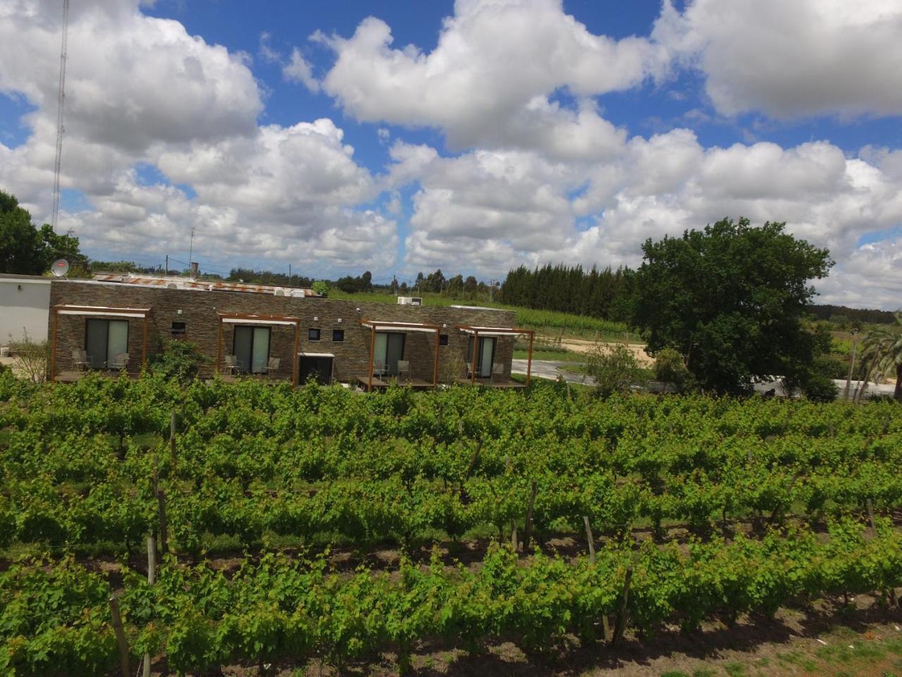 Pizzorno Lodge & Wine Progreso Ngoại thất bức ảnh