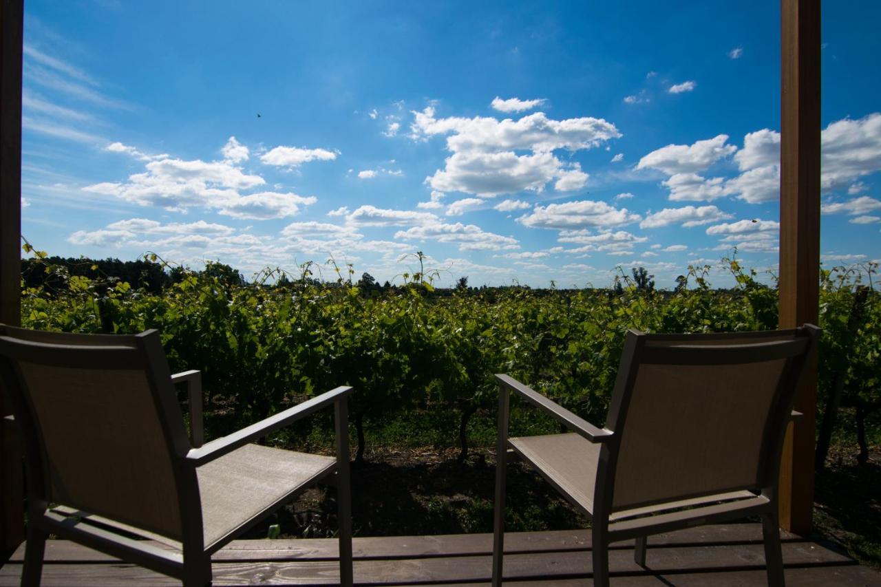 Pizzorno Lodge & Wine Progreso Ngoại thất bức ảnh