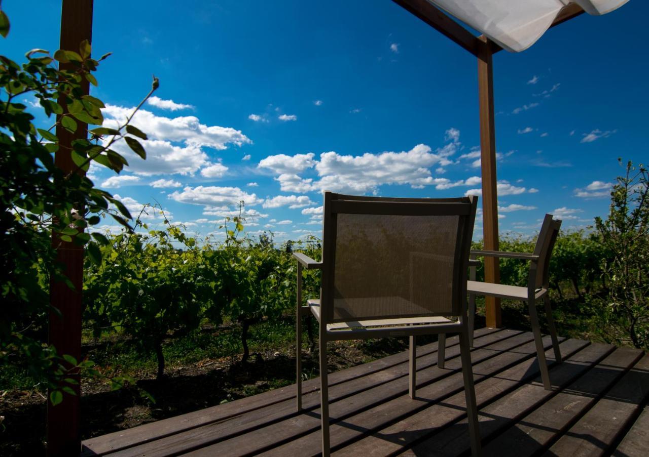 Pizzorno Lodge & Wine Progreso Ngoại thất bức ảnh