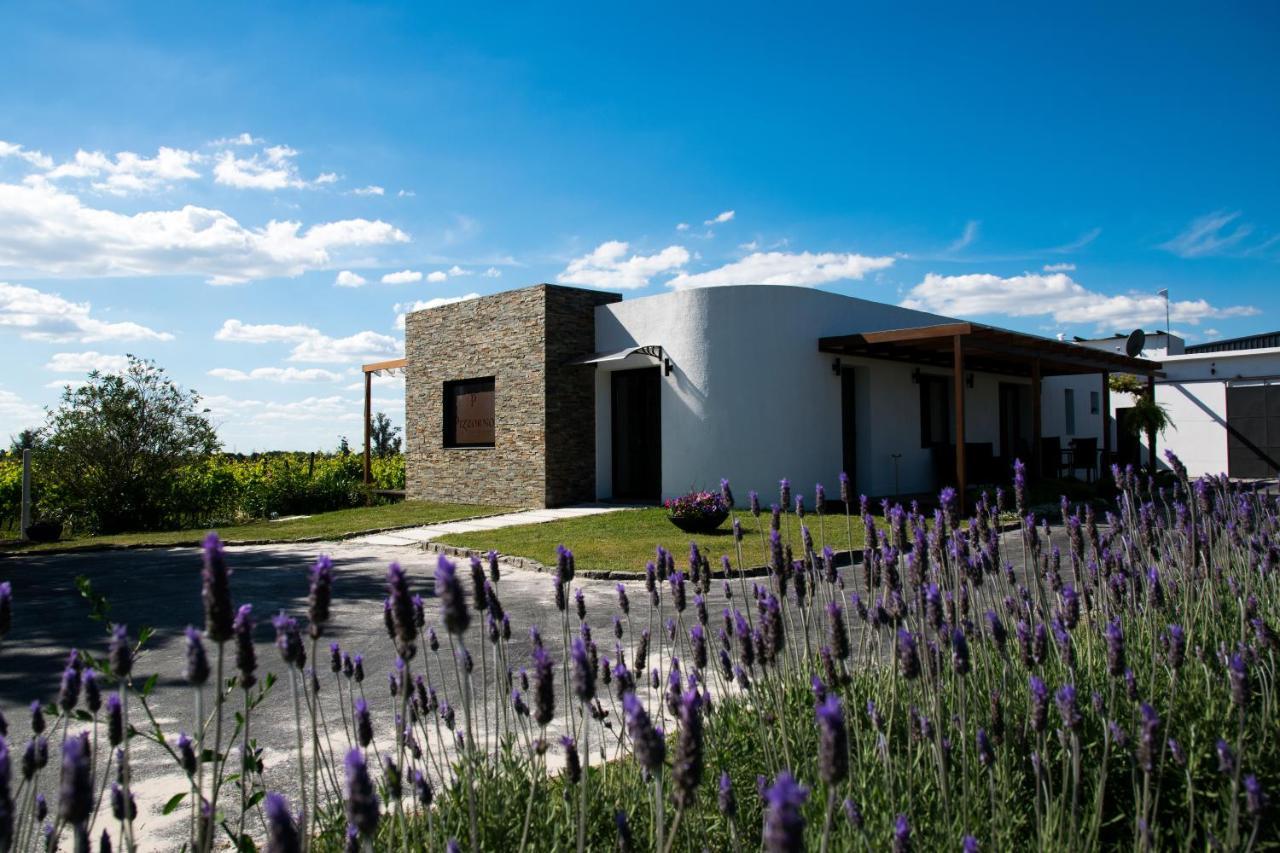 Pizzorno Lodge & Wine Progreso Ngoại thất bức ảnh